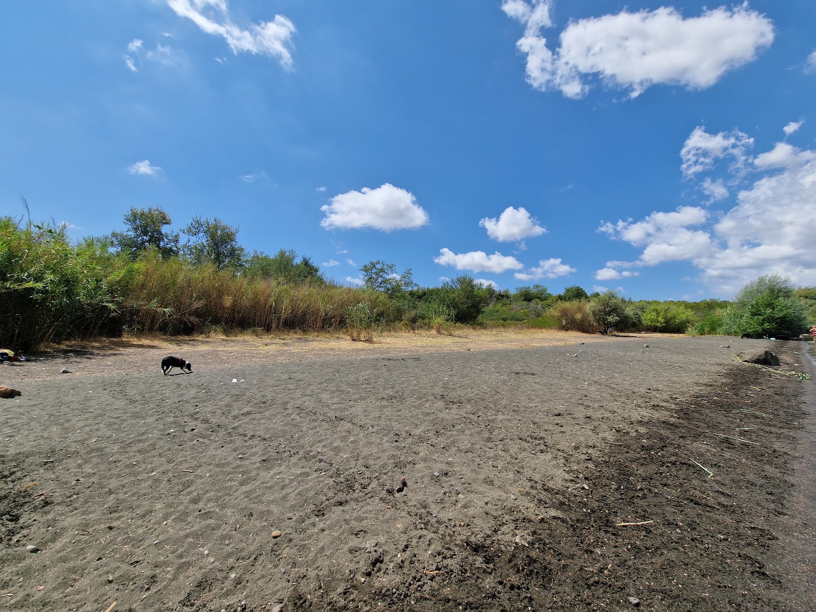 Spiaggia Dei Gabbiani-Dog Beach'in fotoğrafı vahşi alan