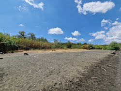 Spiaggia Dei Gabbiani-Dog Beach'in fotoğrafı vahşi alan