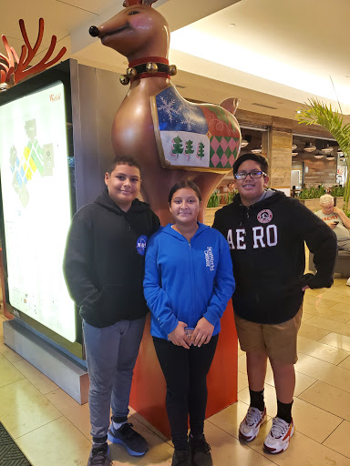 Movie Theater «Regal Cinemas Broward Stadium 12 & RPX», reviews and photos, 8000 W Broward Blvd, Plantation, FL 33388, USA