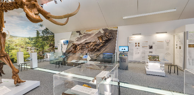 Kommentare und Rezensionen über Mammutmuseum