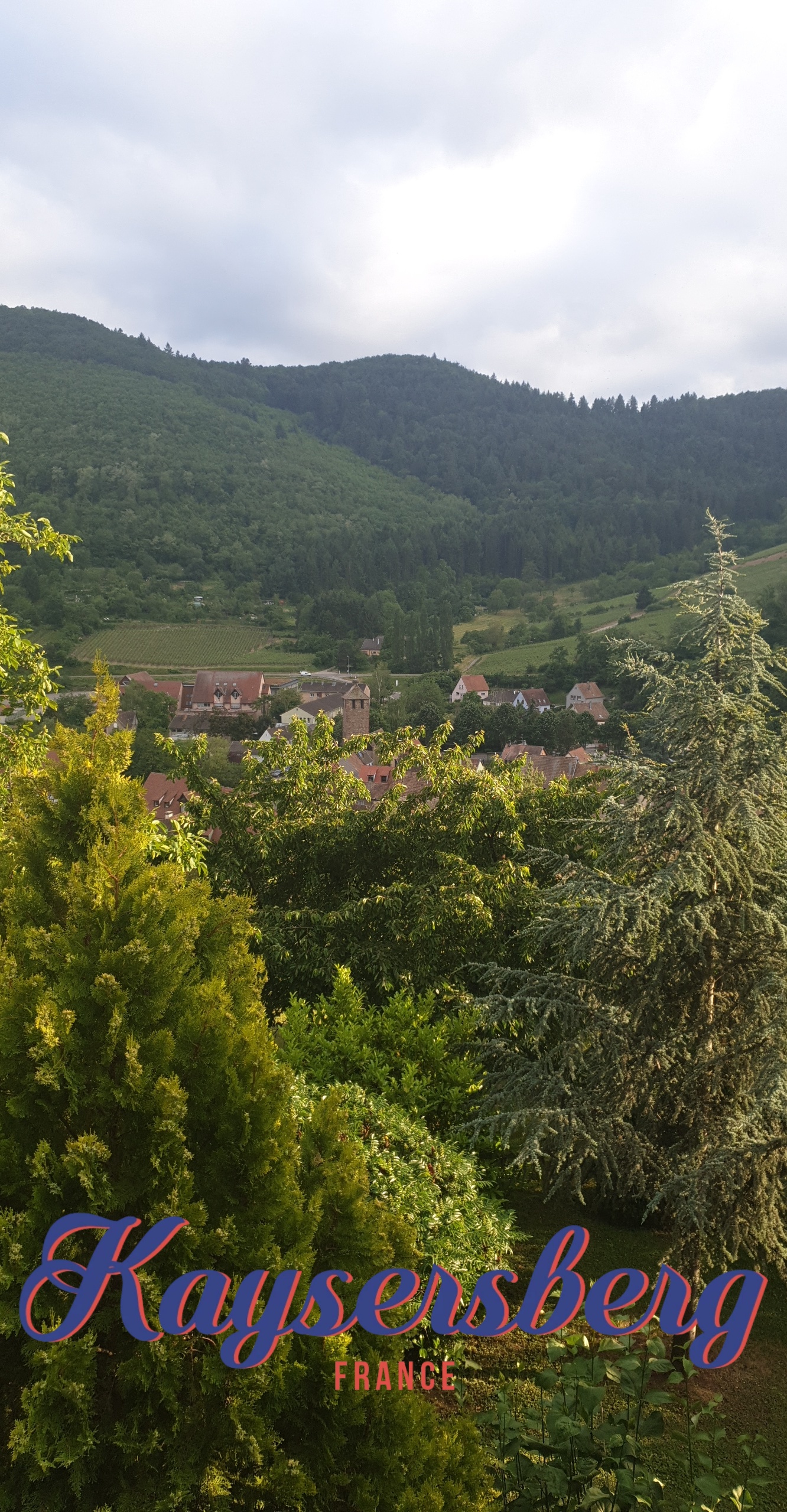 Photo n° 3 de l'avis de Lolita.. fait le 07/06/2019 à 21:03