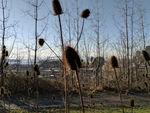 Park «Dr. Jose Rizal Park», reviews and photos, 1007 12th Ave S, Seattle, WA 98144, USA