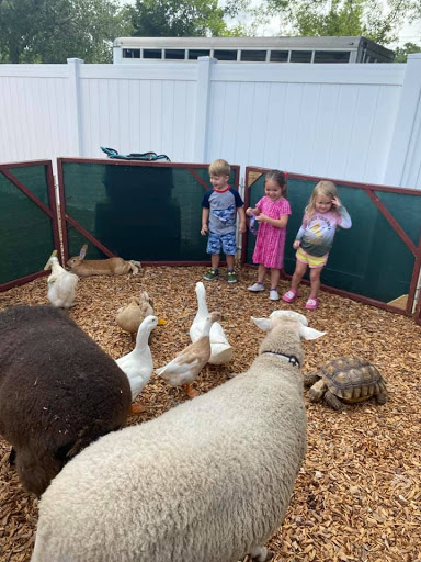 Preschool «Suncoast Academy: South Tampa Preschool», reviews and photos, 4207 W San Miguel St, Tampa, FL 33629, USA