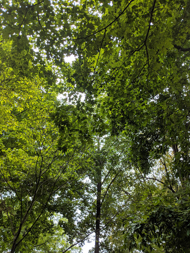 History Museum «Archibald Smith Plantation Home», reviews and photos, 935 Alpharetta Hwy, Roswell, GA 30075, USA