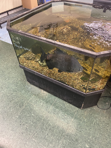 Pet Supply Store «Saluda River Pet Food Center», reviews and photos, 5606 Calhoun Memorial Hwy, Easley, SC 29640, USA