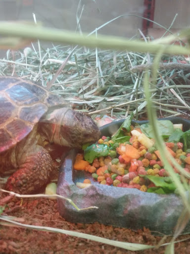 Pet Supply Store «Petco Animal Supplies», reviews and photos, 753 53rd Ave NE, Fridley, MN 55421, USA