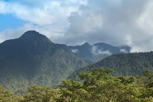 Parque Nacional Pico Bonito image