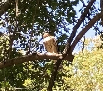 Park «Percy Warner Park», reviews and photos, 7311 Tennessee 100, Nashville, TN 37221, USA