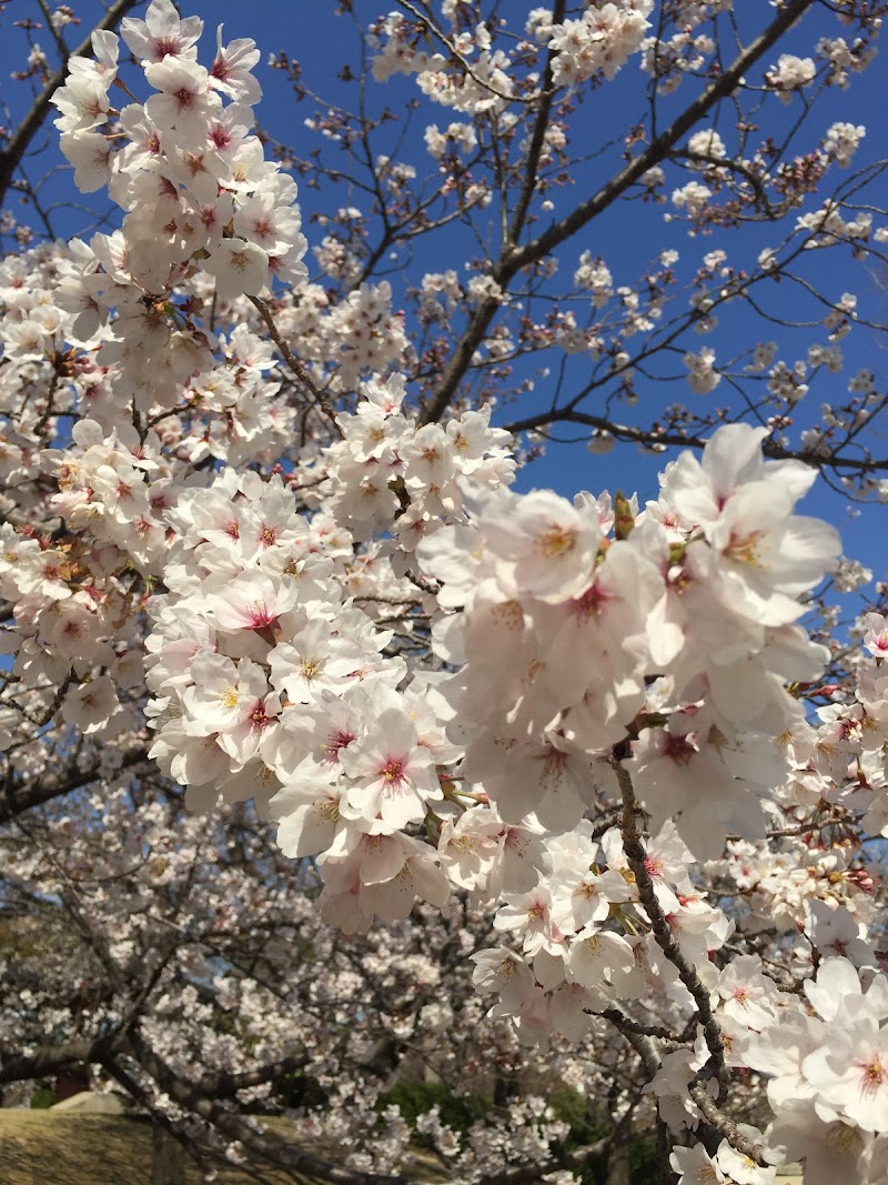 原崎公園