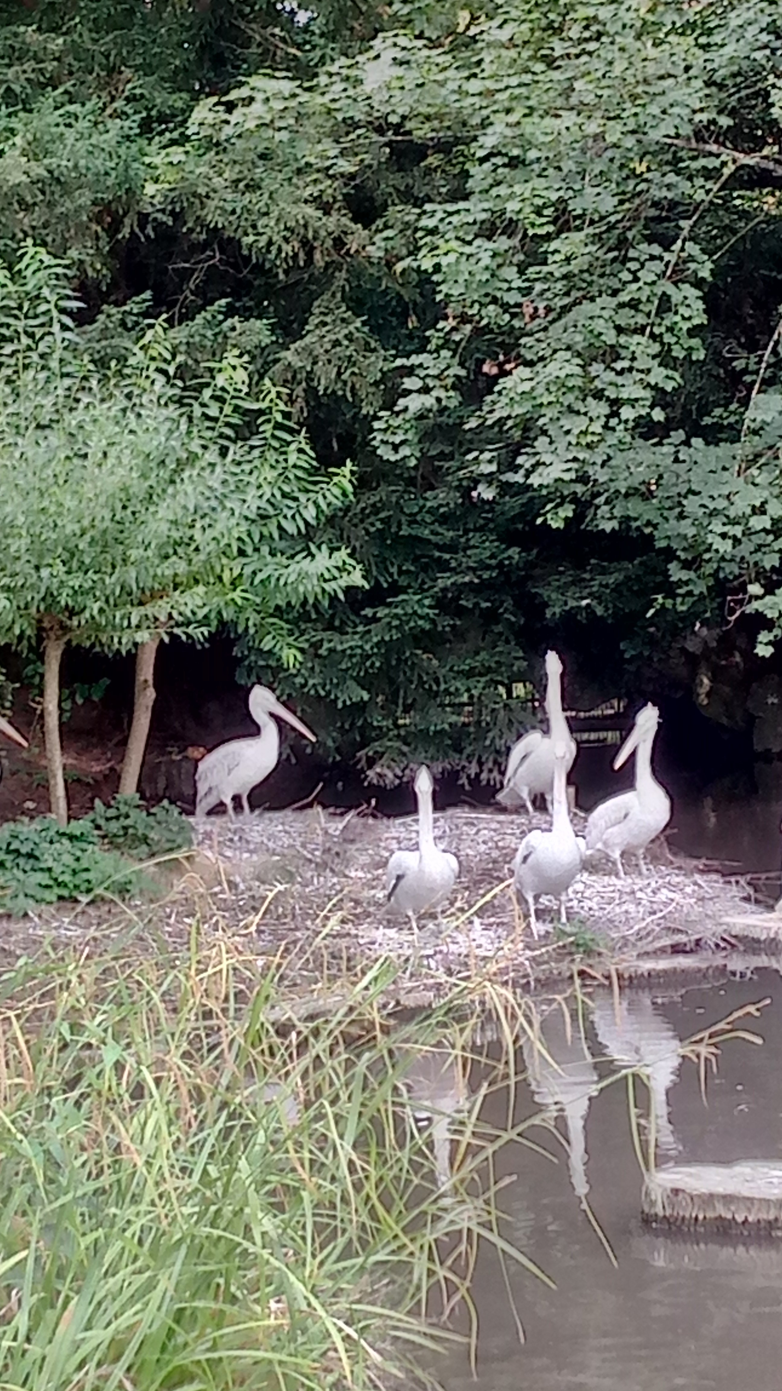 Photo n° 10 de l'avis de patrice.a fait le 12/07/2019 à 07:54