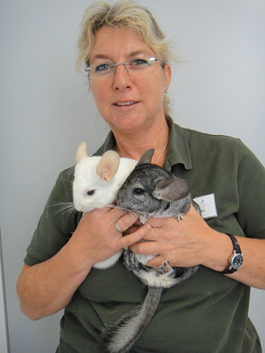 Dr. med. vet. Jutta Hein, Kleintierpraxis Bergheim unter Augsburg, 