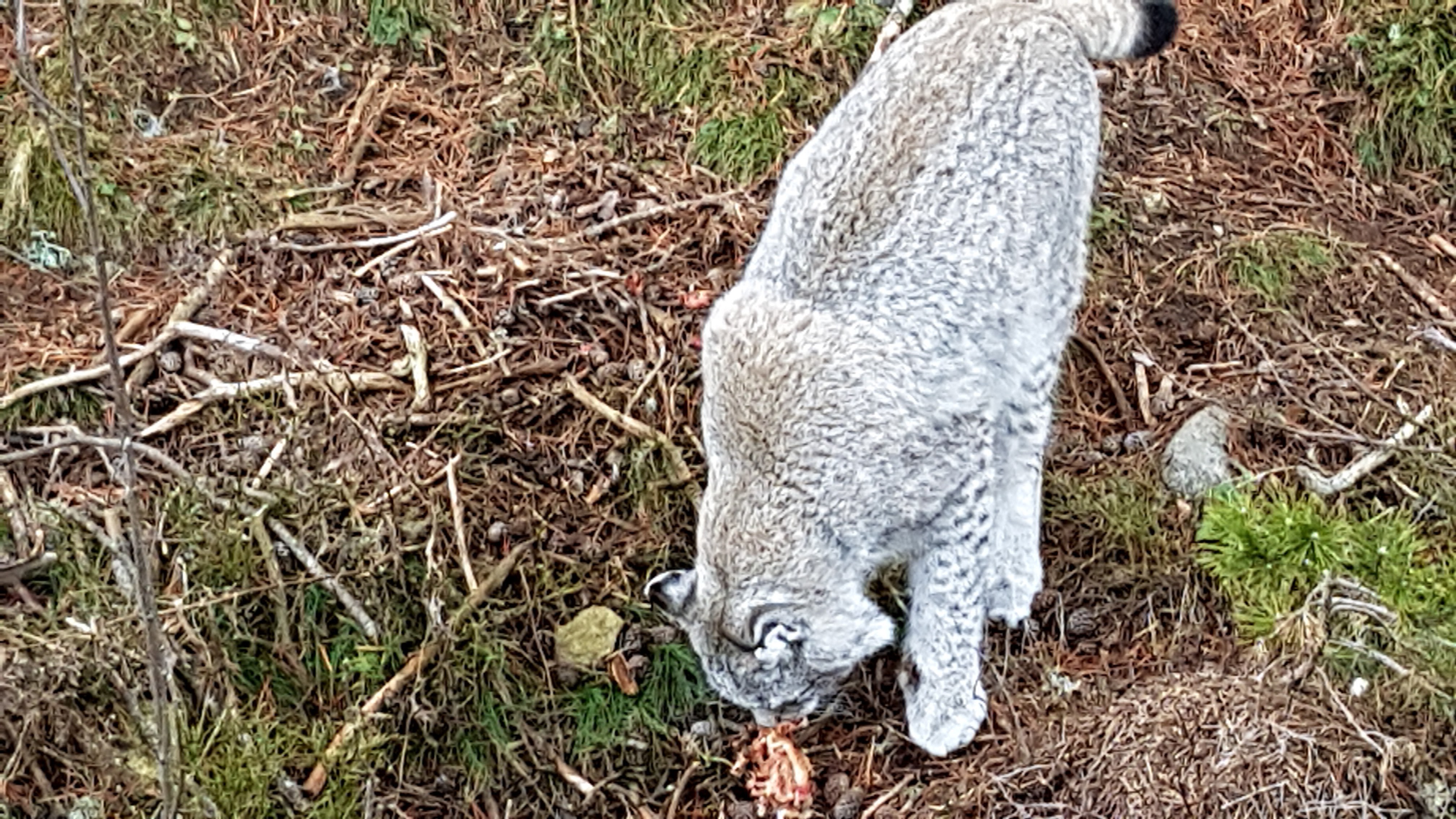Photo n° 8 de l'avis de Nikolay.H fait le 26/12/2018 à 23:51