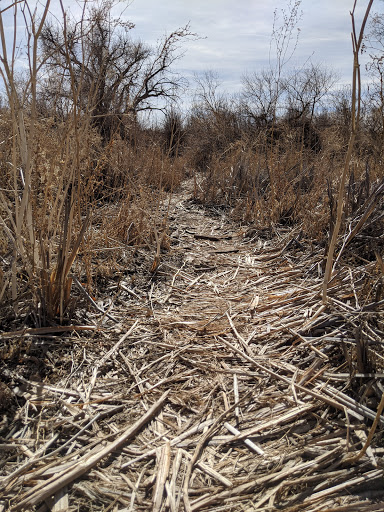 Park «Piney Creek Hollow Park», reviews and photos, 6140 S Tower Rd, Aurora, CO 80016, USA