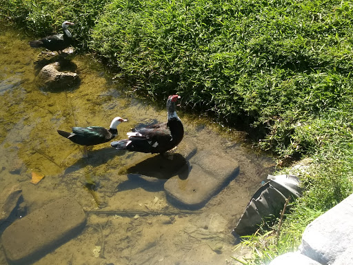 Park «Bicentennial Park», reviews and photos, 7300 Farragut St, Hollywood, FL 33024, USA