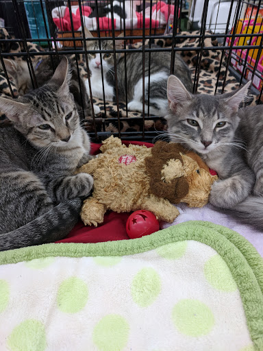 Pet Store «Pet Supermarket, Inc.», reviews and photos, 2446 N University Dr, Coral Springs, FL 33065, USA