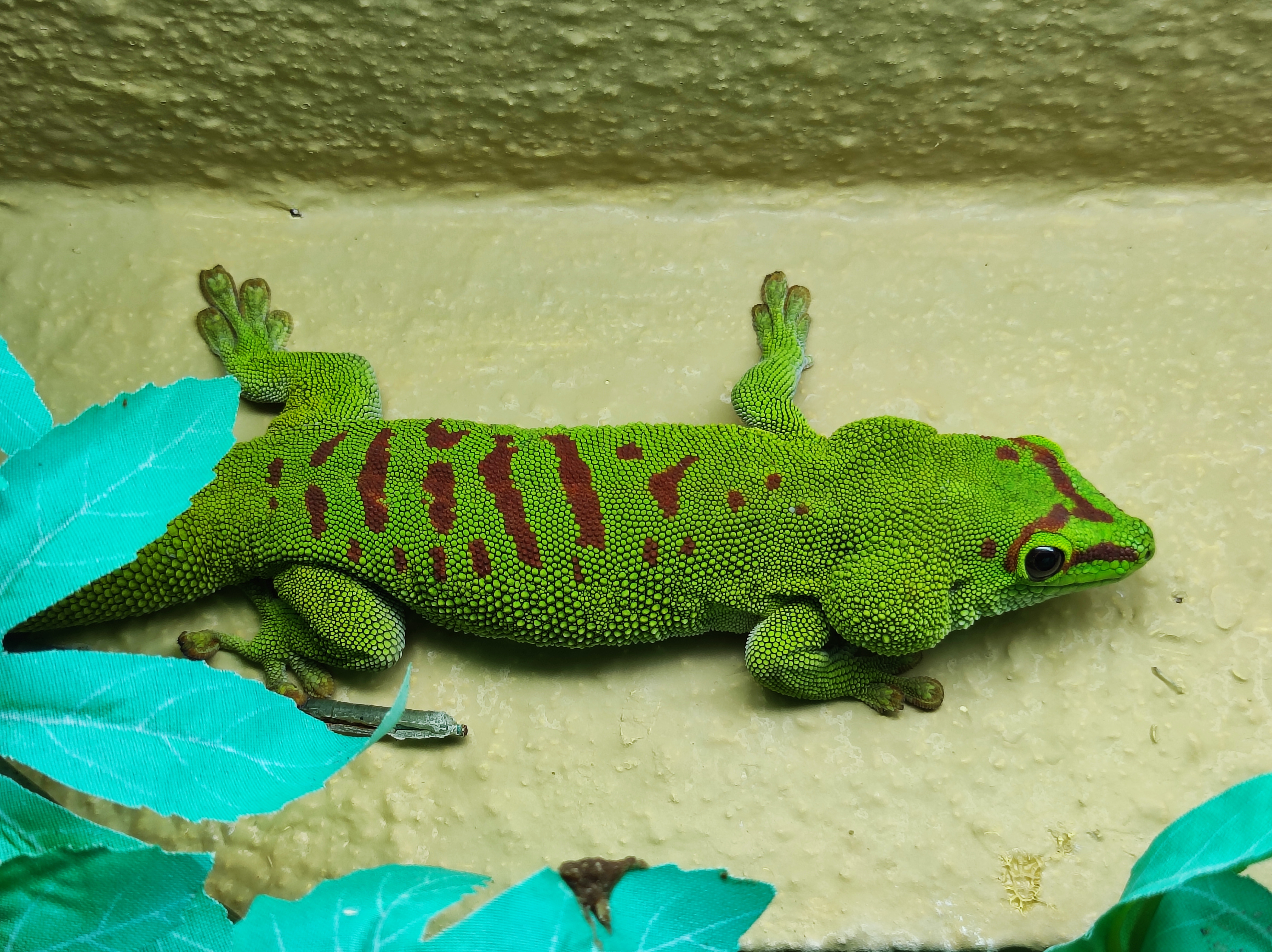 Photo n° 7 de l'avis de Kévin.u fait le 27/02/2023 à 19:47