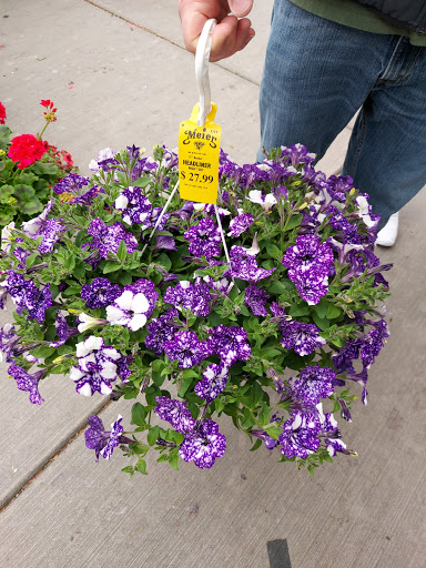 Florist «Meier Flowerland & Greenhouse», reviews and photos, 8087 Grand River Ave, Brighton, MI 48114, USA