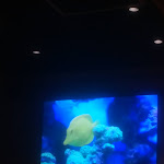 Photo n° 1 de l'avis de johan. fait le 27/05/2022 à 13:57 pour L'Artisan du Burger - Gaite à Paris