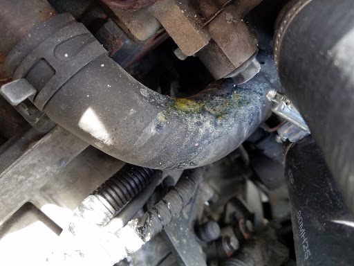 Hyundai Dealer «Titus-Will Hyundai», reviews and photos, 2255 Carriage Loop SW, Olympia, WA 98502, USA