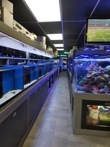 Pet Store «Strictly Fish», reviews and photos, 8373 SW 40th St, Miami, FL 33155, USA