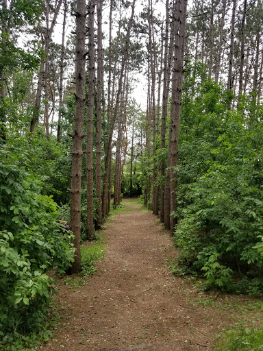 Park «Valley View Park», reviews and photos, 5575 Ozark Avenue North, Oak Park Heights, MN 55082, USA