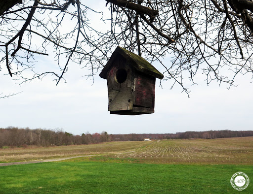 Home Goods Store «Monica Potter Home», reviews and photos, 12724 OH-88, Garrettsville, OH 44231, USA