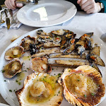 Photo n°1 de l'avis de Elia.a fait le 10/03/2024 à 09:23 sur le  Trattoria Da Angelo à Vicenza