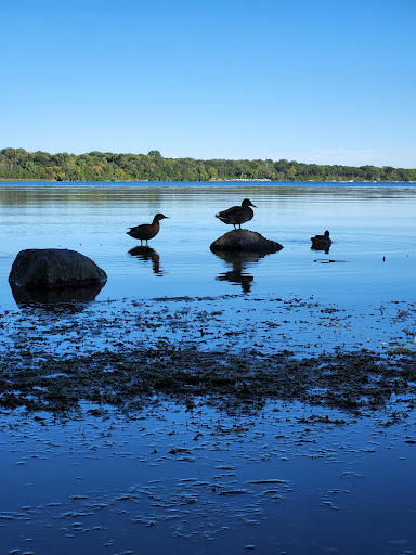 Park «French Regional Park», reviews and photos, 12605 Rockford Rd, Plymouth, MN 55441, USA