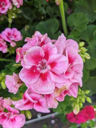 Home Improvement Store «The Home Depot», reviews and photos, 1750 Jonesboro Rd, McDonough, GA 30253, USA