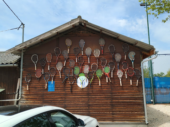 DMTK Tenisz Klub - Dunaharaszti