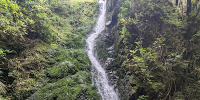 Percy Scenic Reserve