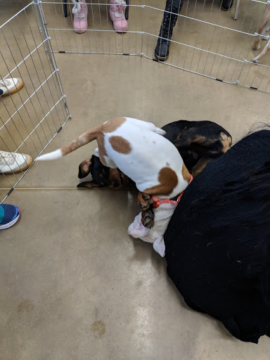 Pet Supply Store «Petco Animal Supplies», reviews and photos, 28400 Dequindre Rd, Warren, MI 48092, USA