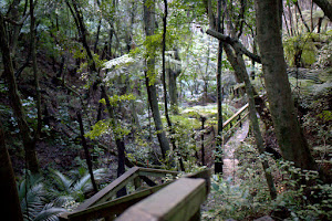 Glenfern Sanctuary image