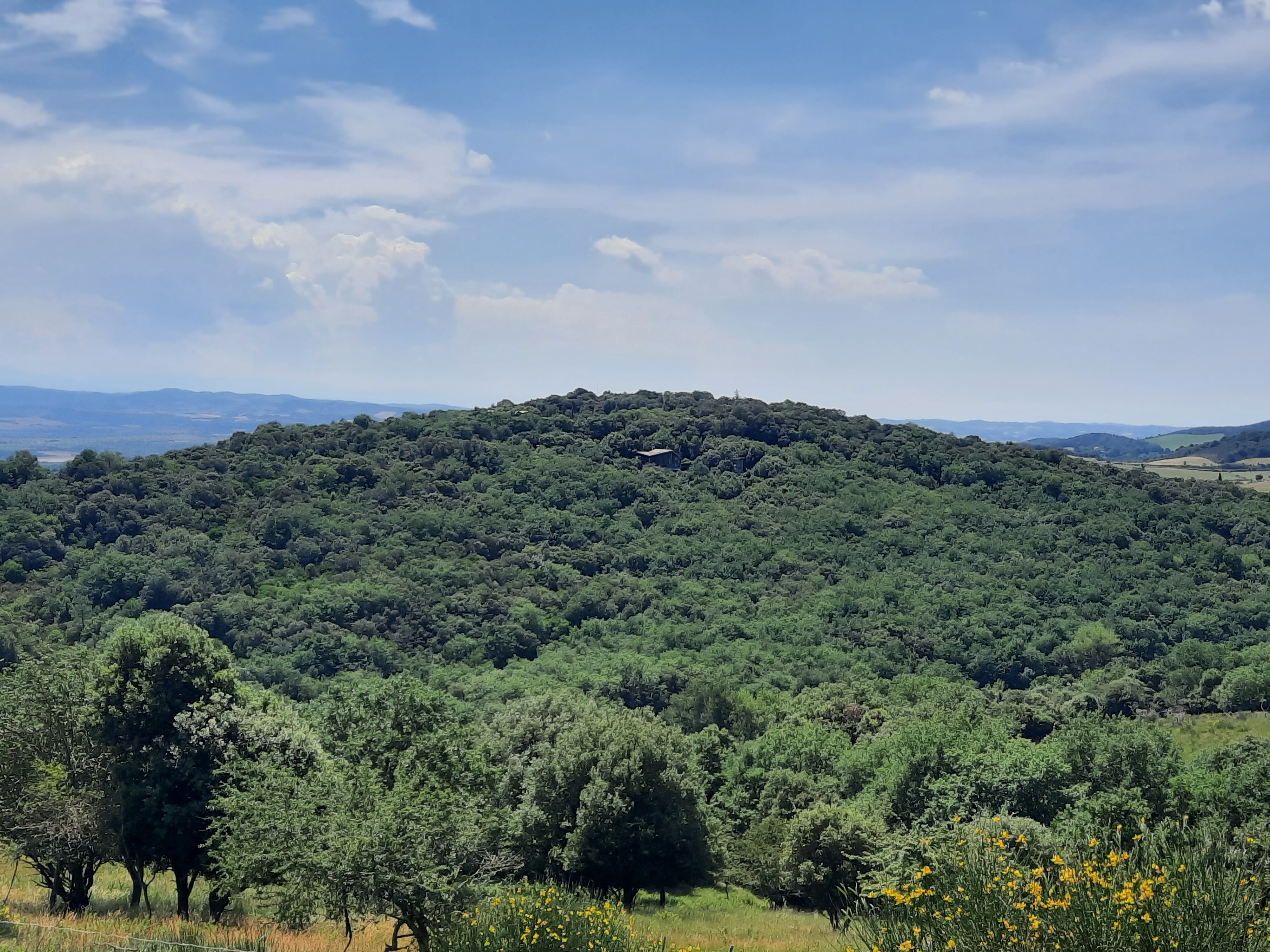 Photo n° 2 de l'avis de Kaviria.a fait le 27/06/2021 à 18:14