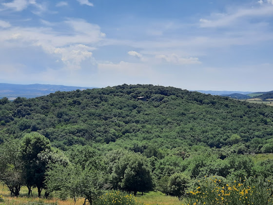 Photos des visiteurs Lodge VEDA 11300 Villarzel-du-Razès