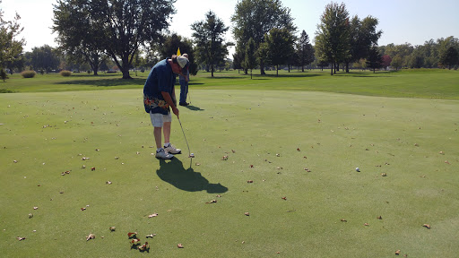 Golf Course «Dundee Golf Club», reviews and photos, 13851 S Custer Rd, Dundee, MI 48131, USA