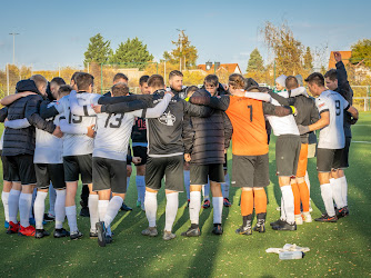 VfB Ottersleben e.V.