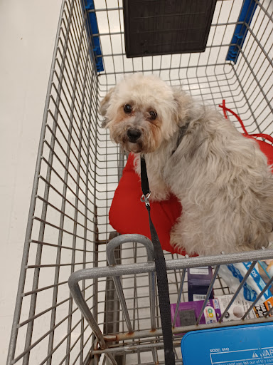 Department Store «Walmart Supercenter», reviews and photos, 250 Highlands Square Dr, Hendersonville, NC 28792, USA