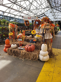 Lowe's Home Improvement - Photo 9 - Car repair in Elizabethton, TN, Johnson City