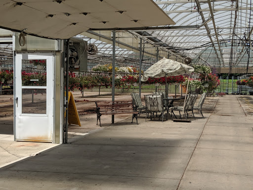 Drain Cleaner Macomb Township