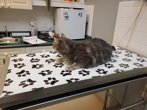 Winston Churchill Animal Hospital image