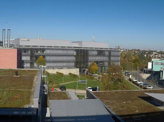 Universitätsklinikum Tübingen Institut für Medizinische Mikrobiologie