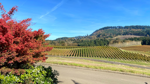 Winery «Colene Clemens Vineyards», reviews and photos, 22501 NE Dopp Rd, Newberg, OR 97132, USA