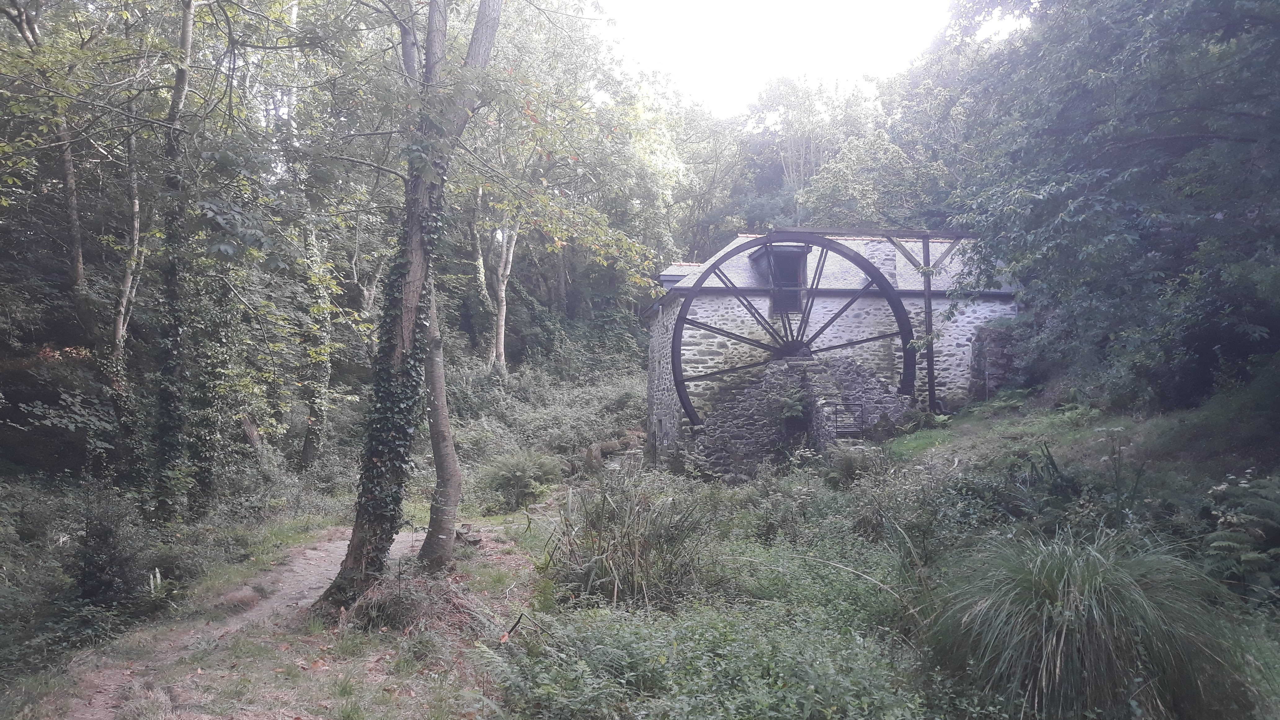 Photo n° 2 de l'avis de Cédric.l fait le 20/08/2018 à 22:40