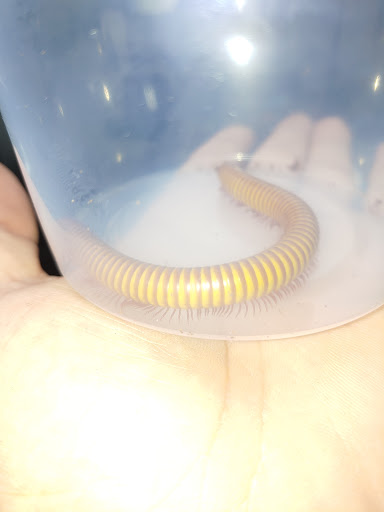 Pet Store «Gills And Thrills Pet Shop», reviews and photos, 204 E 8th St, Lockport, IL 60441, USA