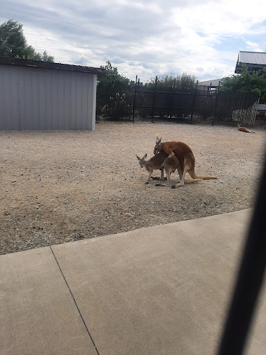 Water Park «Monsoon Lagoon Watering Hole Safari & Waterpark», reviews and photos, 1530 S Danbury Rd, Port Clinton, OH 43452, USA