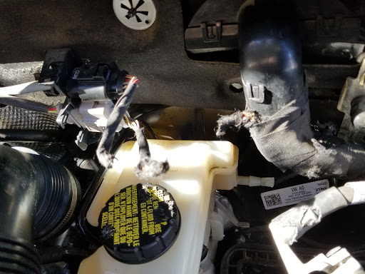 Auto Parts Store «AutoZone», reviews and photos, 2935 McDermott Rd, Plano, TX 75025, USA