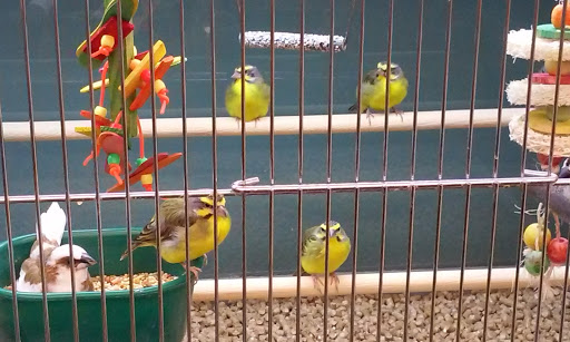 Pet Supply Store «Pet Supplies Plus», reviews and photos, 2155 Delaware Ave, Buffalo, NY 14216, USA