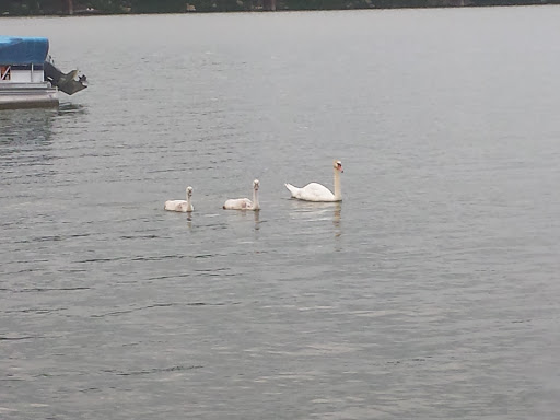 Park «Red Bridge Park», reviews and photos, 697 W Jackson St, Cicero, IN 46034, USA