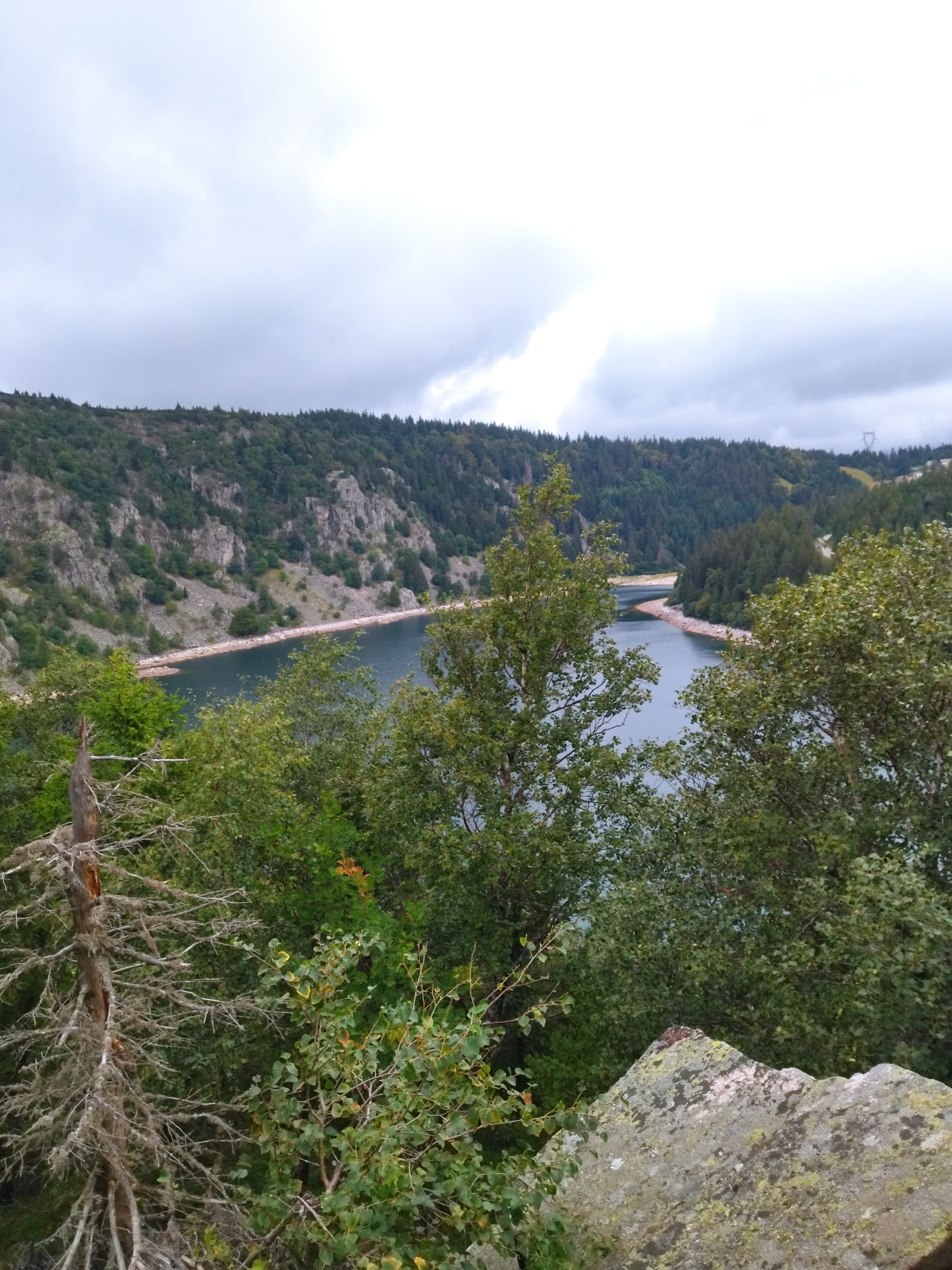 Photo n° 27 de l'avis de MM.u fait le 27/08/2023 à 14:16